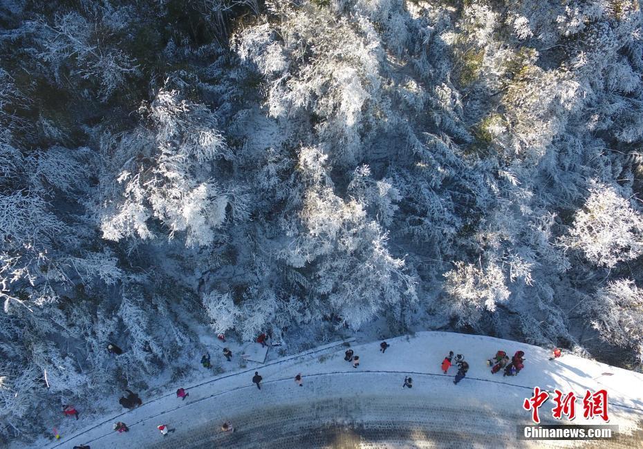 12月20日，重慶金佛山銀裝素裹雪景美如畫(huà)，吸引了不少游客前來(lái)觀賞。當(dāng)日，第19屆金佛山冰雪節(jié)正式開(kāi)幕。 陳超 攝