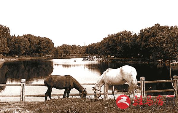 駐馬店置地公園：彰顯城市形象的一張名片