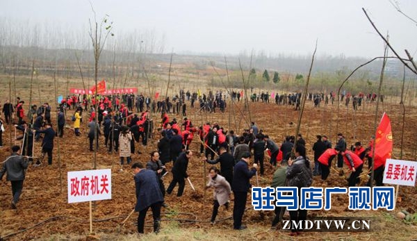 駐馬店各縣區(qū)掀起冬季義務(wù)植樹熱潮