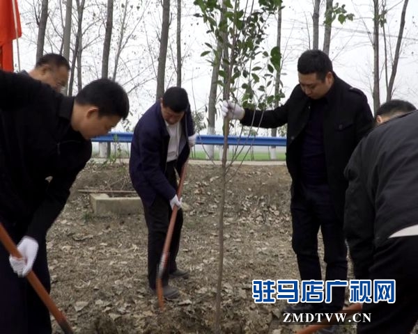 駐馬店各縣區(qū)掀起冬季義務(wù)植樹熱潮