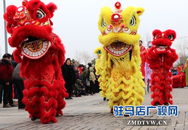 舞龍、耍獅、扭秧歌 駐馬店民間藝術(shù)展演吸引數(shù)千市民圍觀