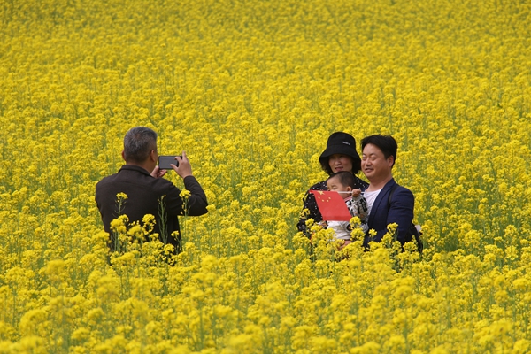 駐馬店魯灣小鎮(zhèn)首屆千畝油菜花文化季開幕