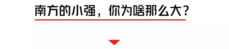 螂有N種死法，真正靠譜的是這2種 