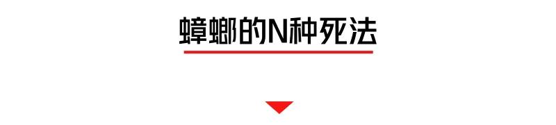 螂有N種死法，真正靠譜的是這2種 