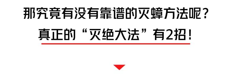 螂有N種死法，真正靠譜的是這2種 