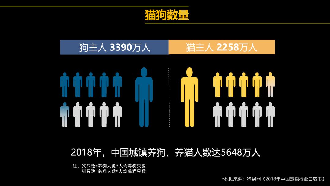 中國首只克隆貓回家了，你會花 38 萬跟去世的寵物再續(xù)前緣嗎？