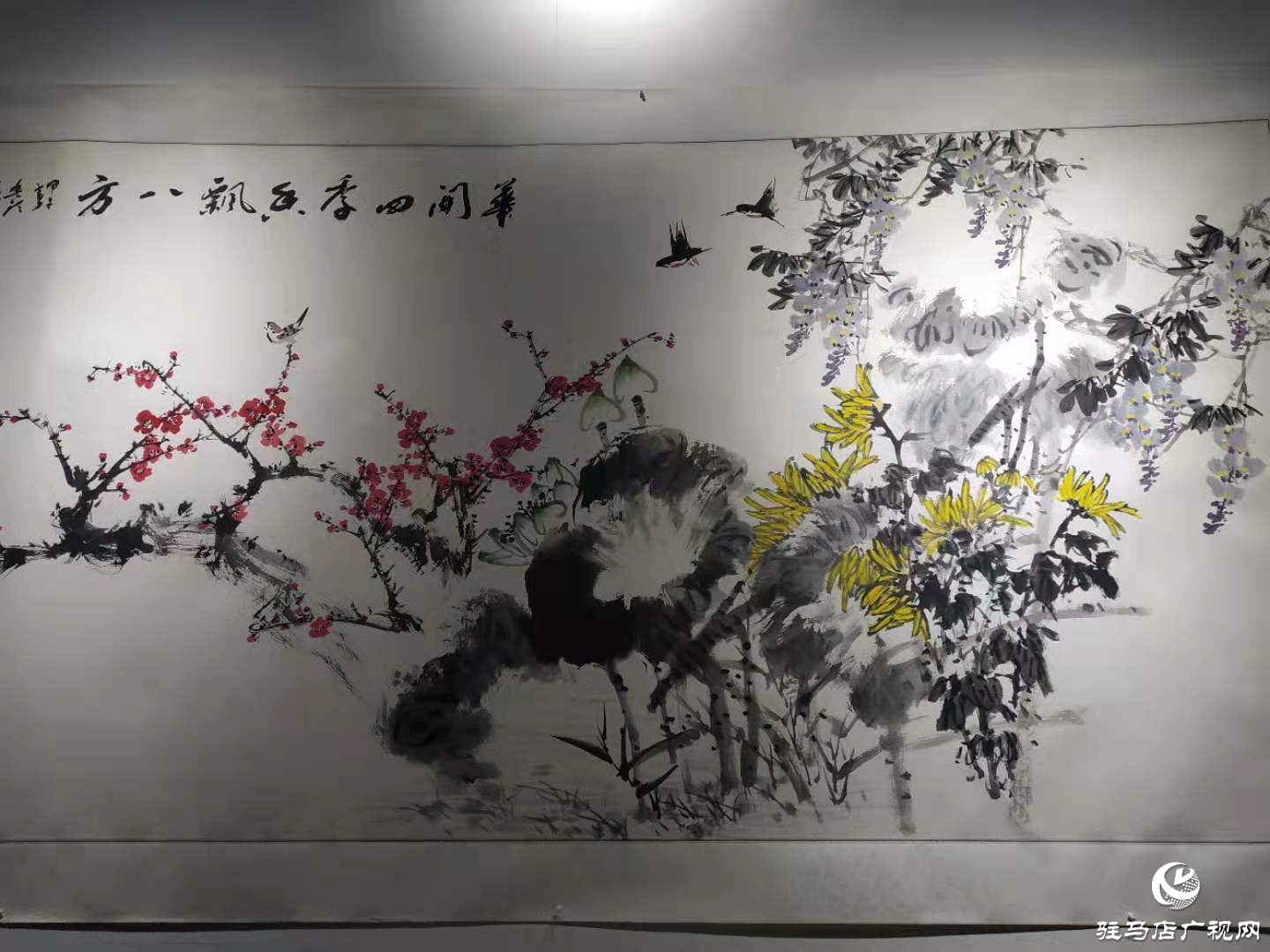 張克洪個人畫展在黃淮學院美術(shù)館開展