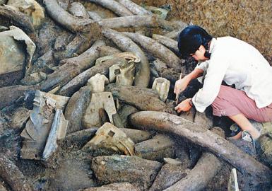 三星堆發(fā)現90年 古蜀文明之門從這里打開 