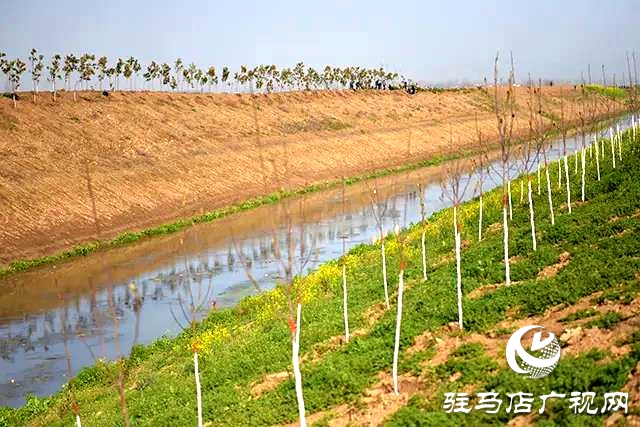 上蔡縣召開去冬今春國土綠化觀摩評比會(huì)