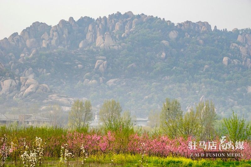 終于等到你，美麗大駐馬