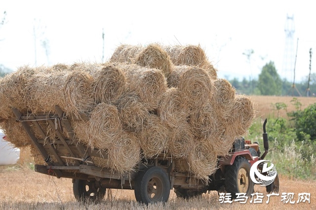 駐馬店驛城區(qū)：推進(jìn)秸稈回收變廢為寶