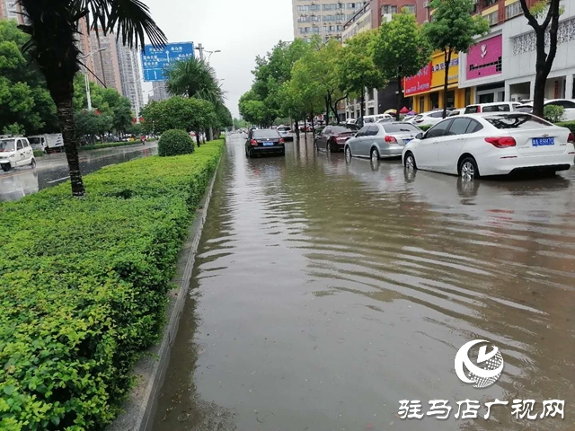 遇到積水路面如何開車？