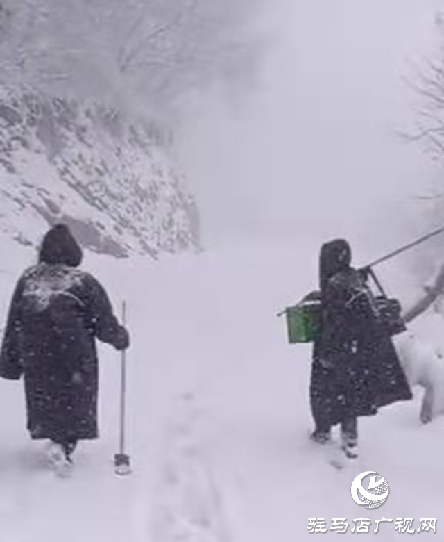 頂風雪 駐馬店廣播電視發(fā)射臺值班人員步行上山換班