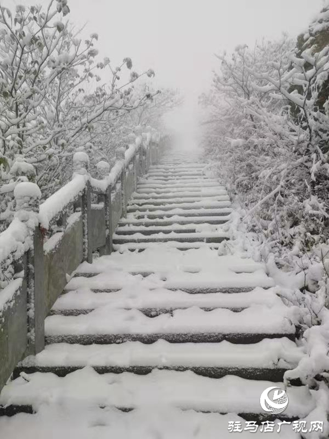 頂風雪 駐馬店廣播電視發(fā)射臺值班人員步行上山換班