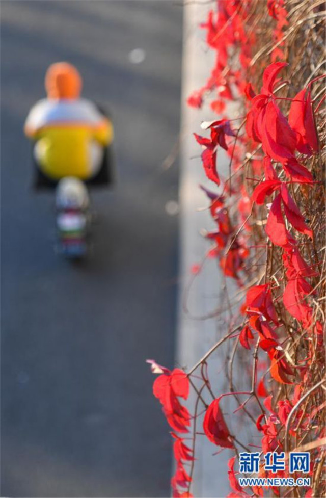 北京迎來(lái)晴好天氣