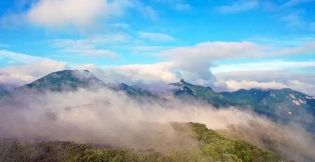 “市”外有桃園，宜陽花果山，遛娃首選點