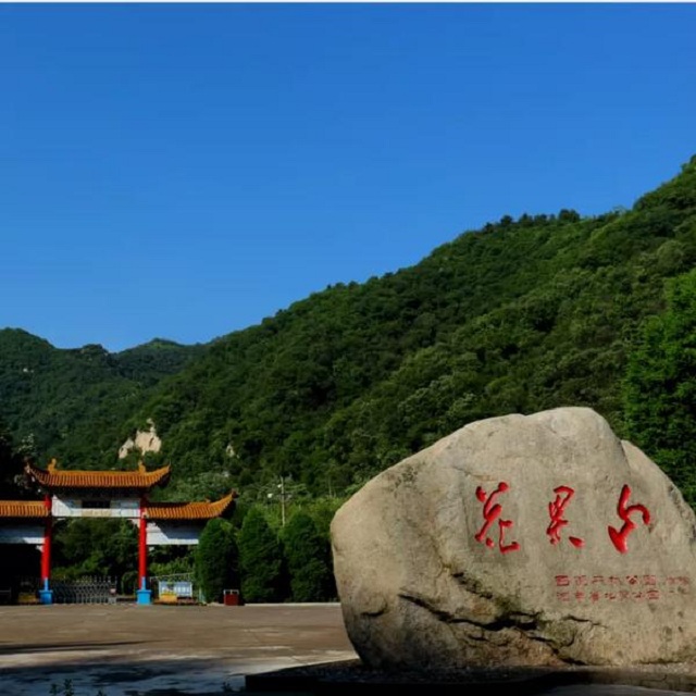 “市”外有桃園，宜陽花果山，遛娃首選點