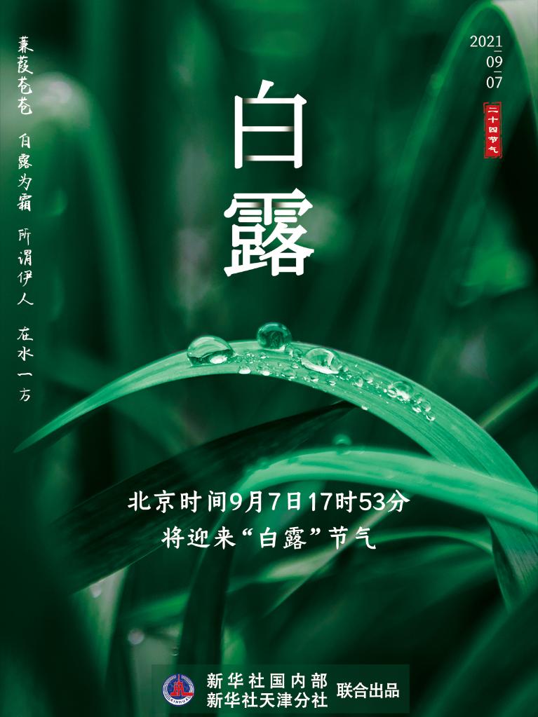 9月7日17時53分“白露”：露從今夜白，夜自此日涼