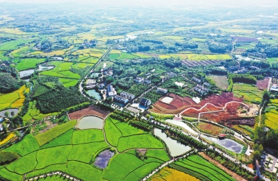 你好，小康丨光山縣東岳村：田園多彩 電商下鄉(xiāng)