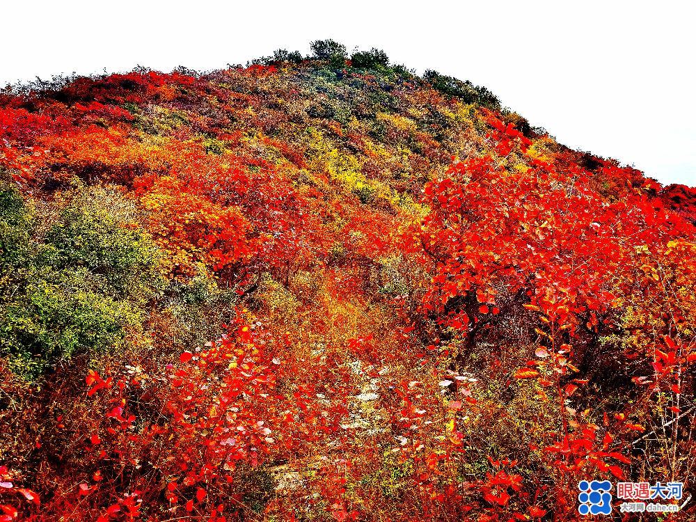 春意闌珊綠未減 山間十月秋色滿 