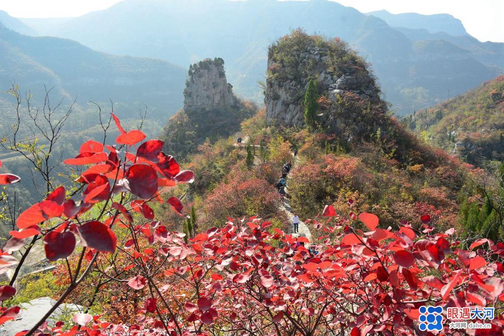 醉美紅葉秋染太行