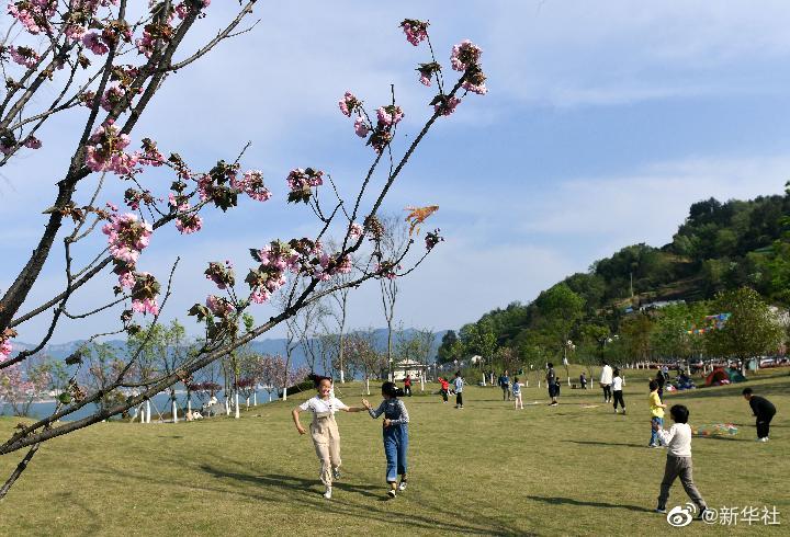 清明節(jié)假期國內旅游出游超7500萬人次