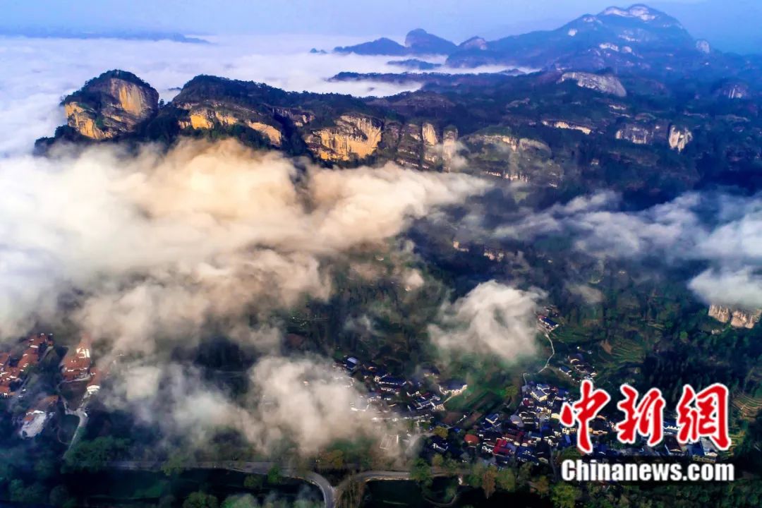 東西問丨李振基：保護(hù)生物多樣性，中國虞衡制度告訴了我們什么？