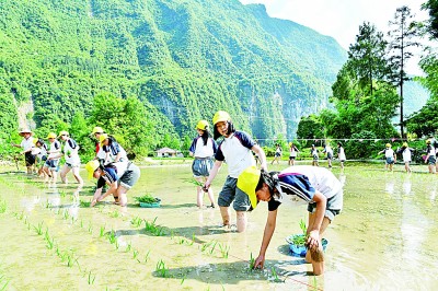 研學(xué)旅行走俏：在行走的課堂中，如何讀懂更大的世界