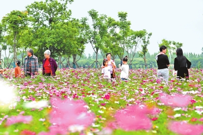 新時代 新征程 新偉業(yè)丨國際花園城市競賽，信陽憑啥“蟾宮折桂”