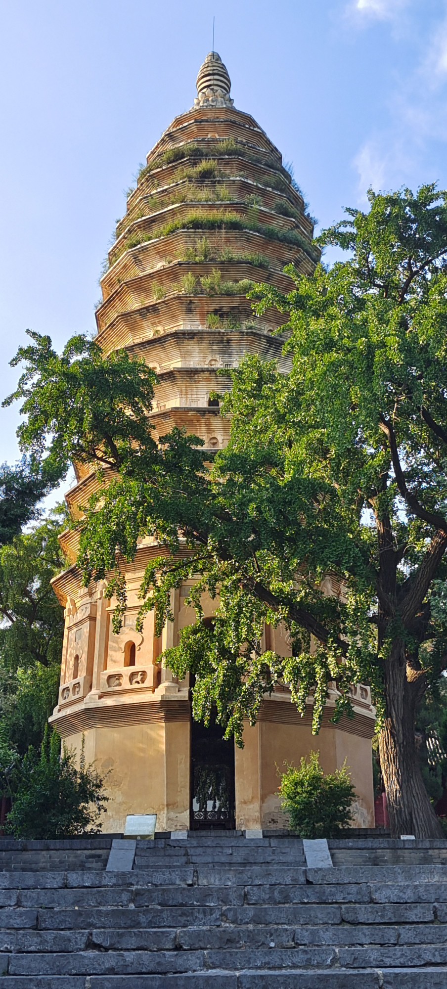 行走河南·讀懂中國丨“華夏第一塔”嵩岳寺塔：居天地之中 獨守千年孤獨