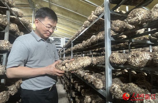 跟著總書記看中國丨浙江科技特派員：把論文寫在大地上 把成果留在百姓家