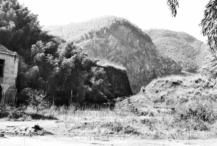 第一視點丨人不負(fù)青山 青山定不負(fù)人——余村十八年