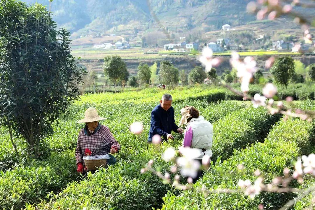 ?美麗中國｜厚植綠色發(fā)展底色