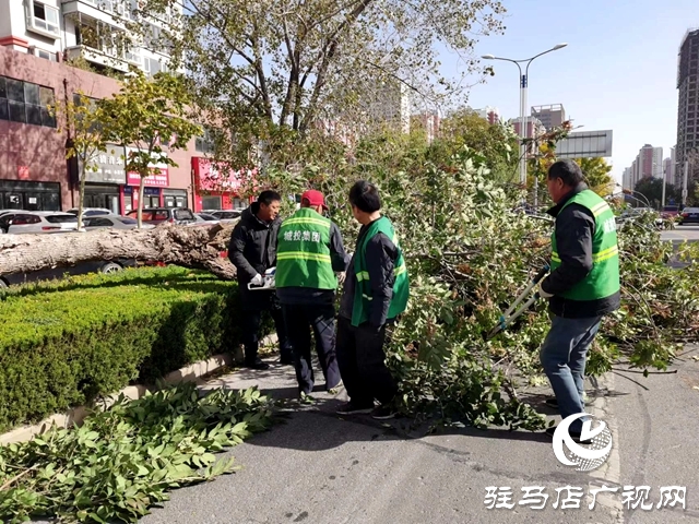 市智慧城市服務(wù)中心消除安全隱患 保障城市安全運行