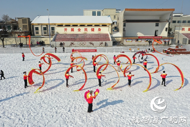 泌陽(yáng)縣：雪中龍舞鬧元宵