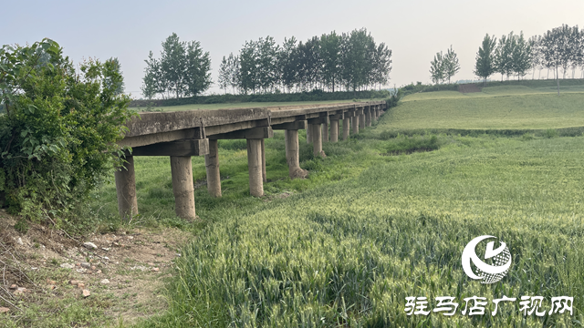 遂平縣車站街道：生產(chǎn)橋年久失修 群眾期盼麥?zhǔn)漳芡ㄐ? width=