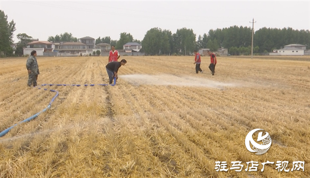 上蔡縣朱里鎮(zhèn)：積極抗旱保夏種