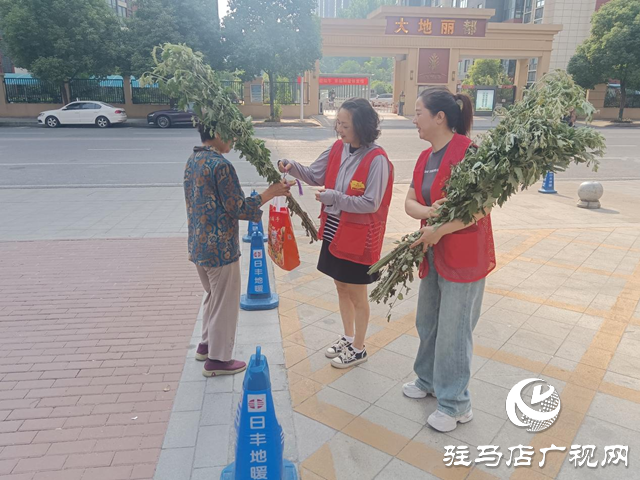 駐馬店經(jīng)濟開發(fā)區(qū)界牌社區(qū)開展端午送“艾”活動