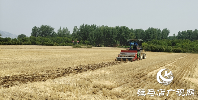 泌陽縣：久旱逢甘霖 輪作搶農時