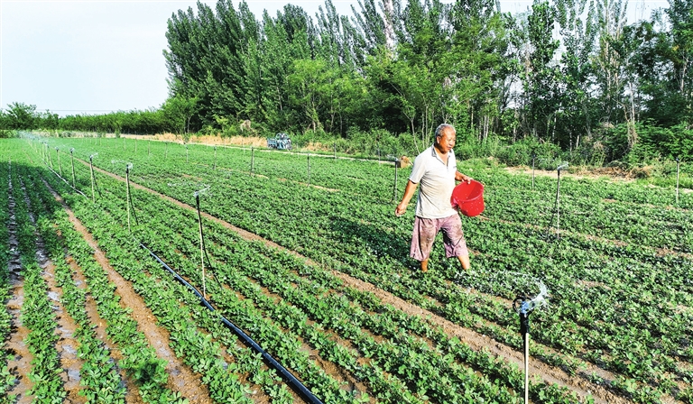 夏至丨萬(wàn)物盛極時(shí) 美好伴夏生