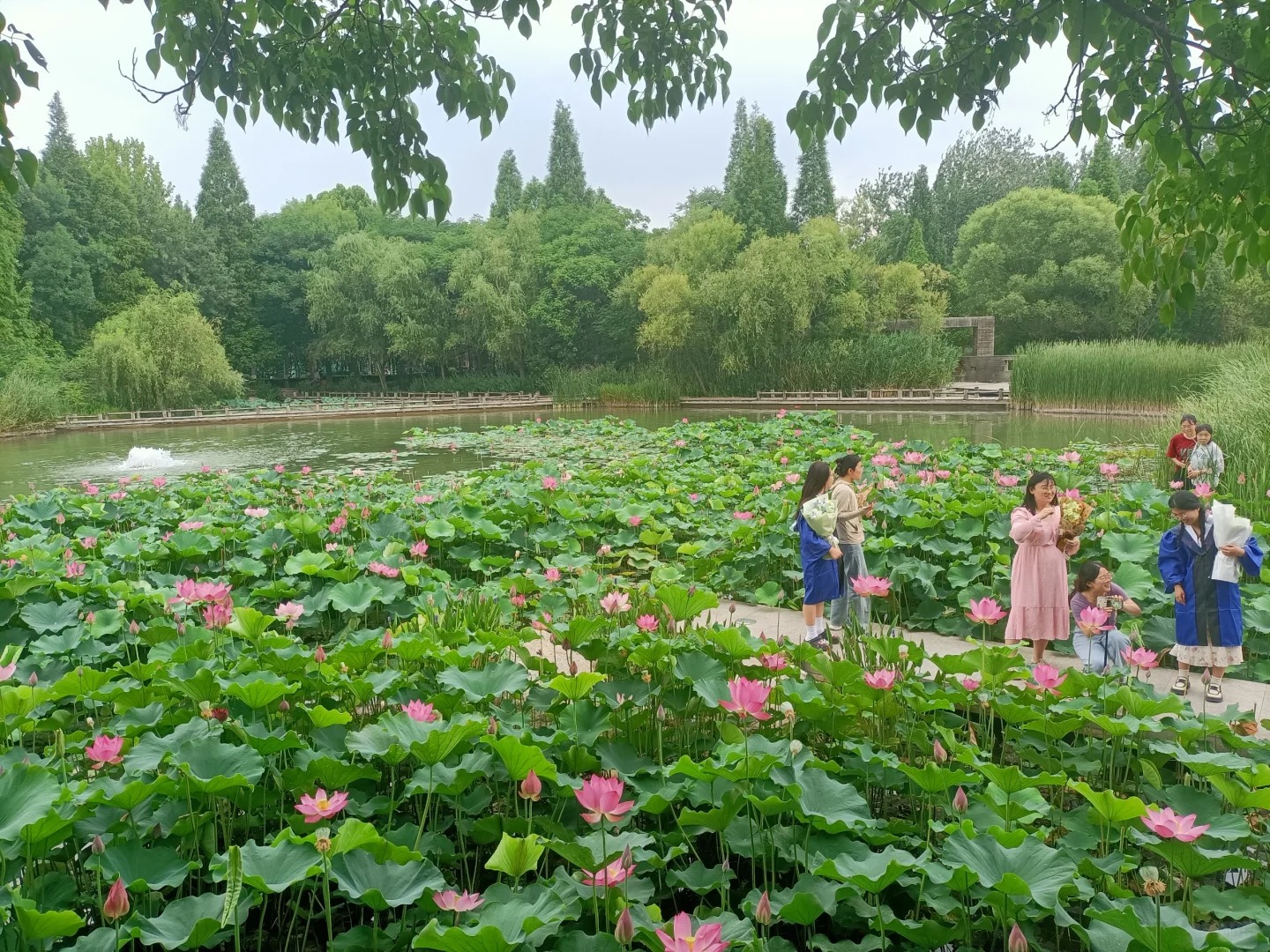 夏至丨萬(wàn)物盛極時(shí) 美好伴夏生