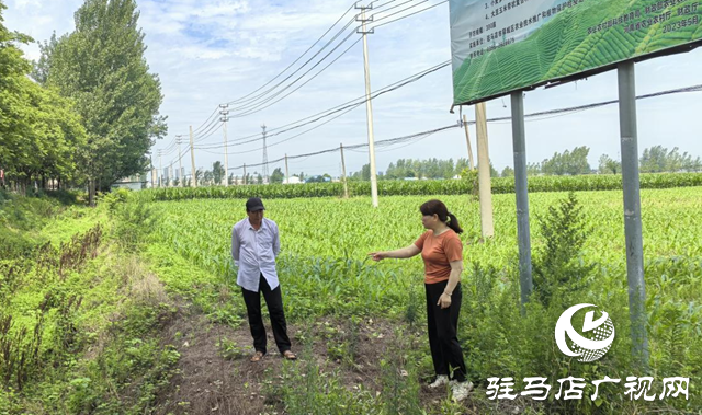 暴雨過后如何防范農(nóng)田內(nèi)澇？農(nóng)業(yè)專家支招