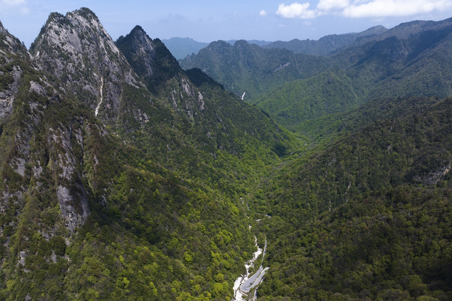 學習進行時丨“綠水青山就是金山銀山”——習近平推動生態(tài)環(huán)境保護的故事