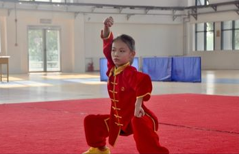 駐馬店市武術(shù)段位制考評大賽舉行