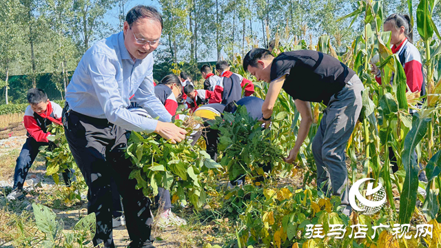 體驗(yàn)豐收快樂 收獲成長果實(shí)