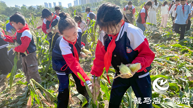 體驗(yàn)豐收快樂 收獲成長果實(shí)