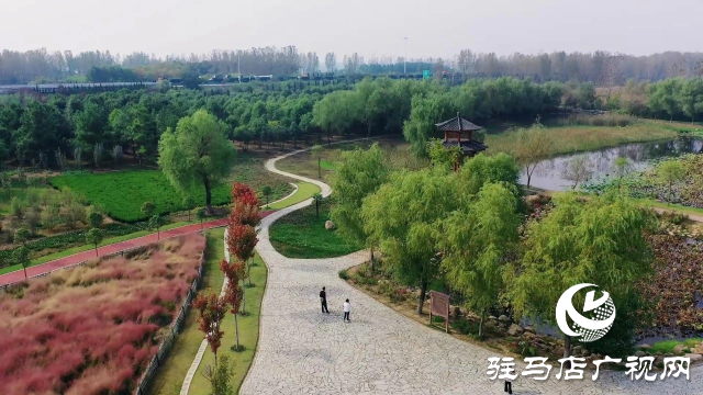 泌陽漢風(fēng)公園，秋日里的粉色夢境