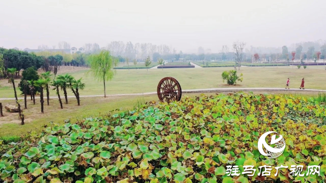 泌陽漢風(fēng)公園，秋日里的粉色夢境