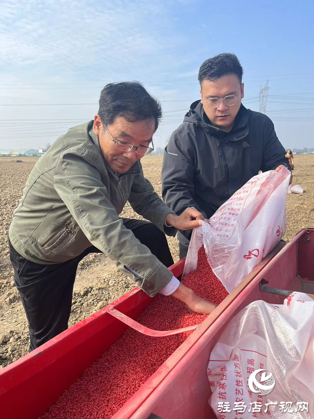 駐馬店：小麥播種正當時  技術(shù)指導促豐收