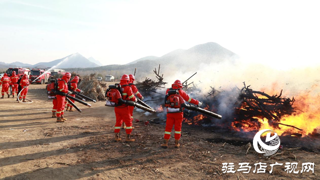 2024年駐馬店市（驛城區(qū)）森林火災應急救援實戰(zhàn)演練舉行